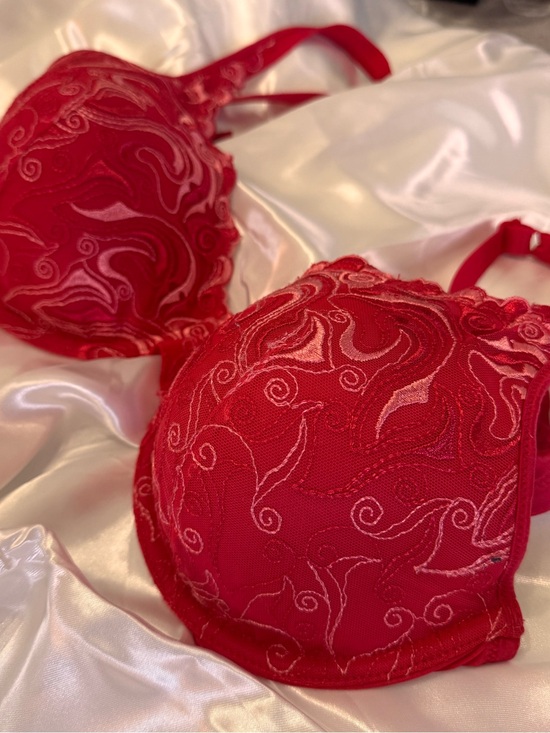 Playtex Other - Playtex Red Embroidered T-Shirt Bra